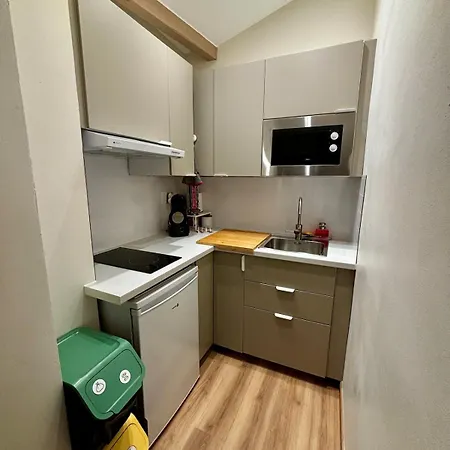 Mansarde En Centre De * Foix