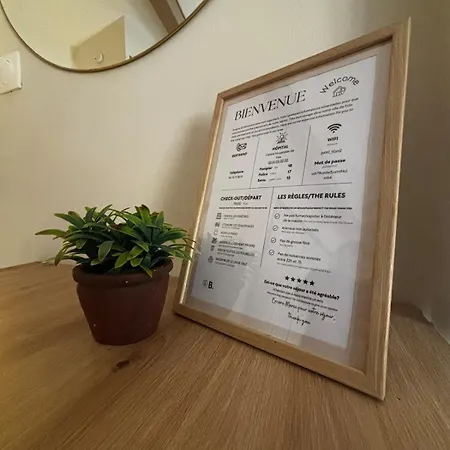 Mansarde En Centre De Foix