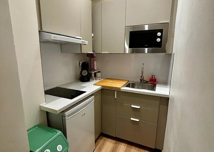 Mansarde En Centre De * Фуа